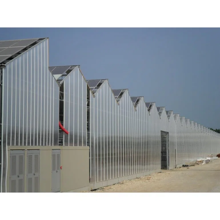 Polycarbonat Hohlkammerplatte Stärke 10 mm 200 x 98 cm transparent