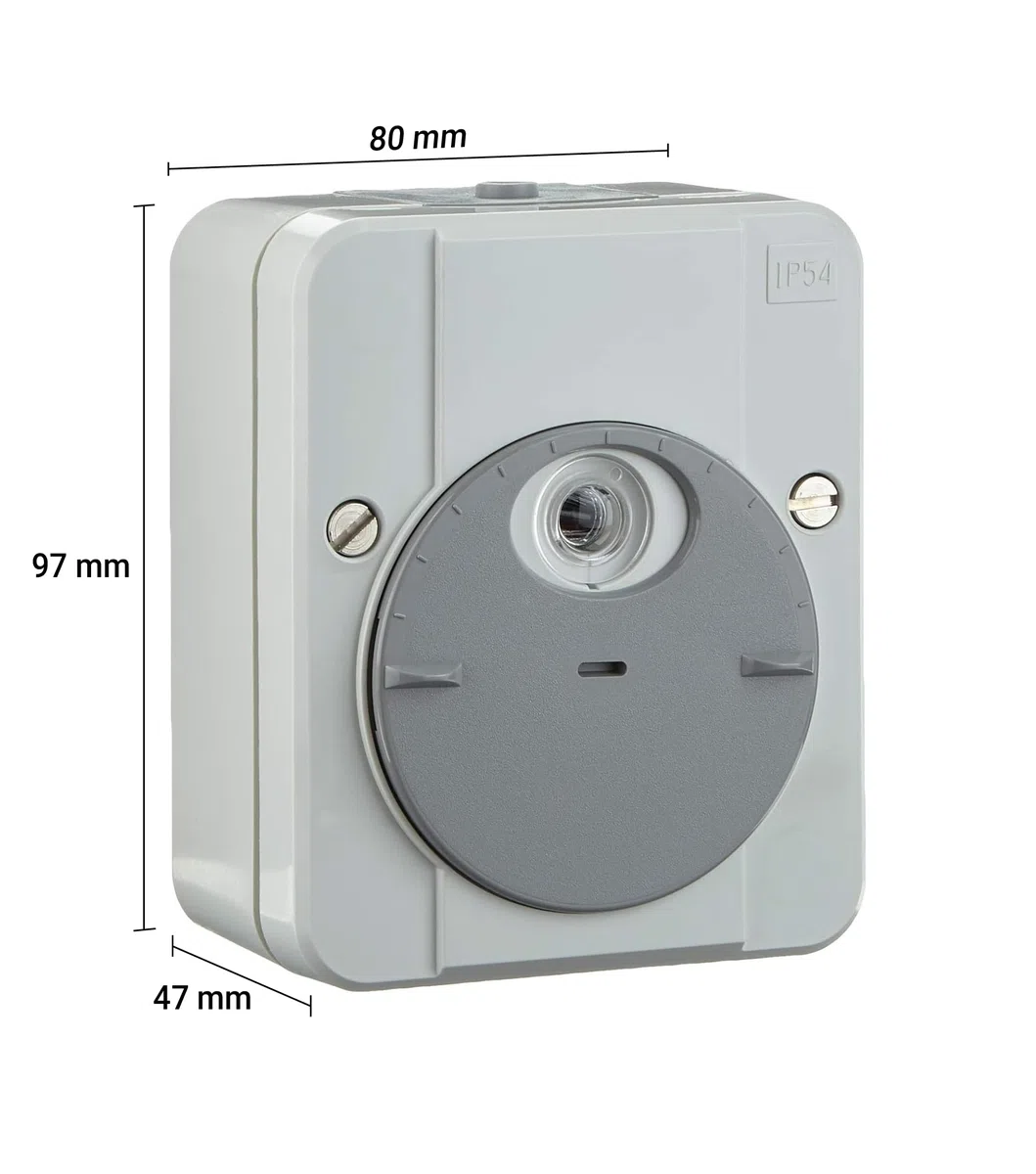 Schneider Electric Merten Argus Dämmerungsschalter, Schaltverzögerung, lichtgrau, Artikelnummer 544894