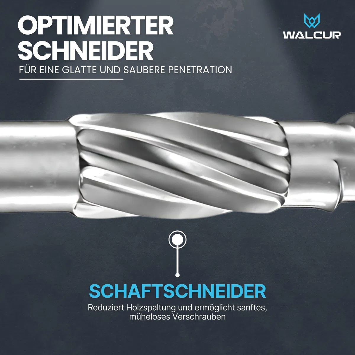 GeZu Impex 1000 Stück Walcur Terassenschrauben 5 x 60 mm Edelstahl Torx + 2 Bits + 1 Bohrer Bohrschrauben Holzschrauben Holzbauschrauben
